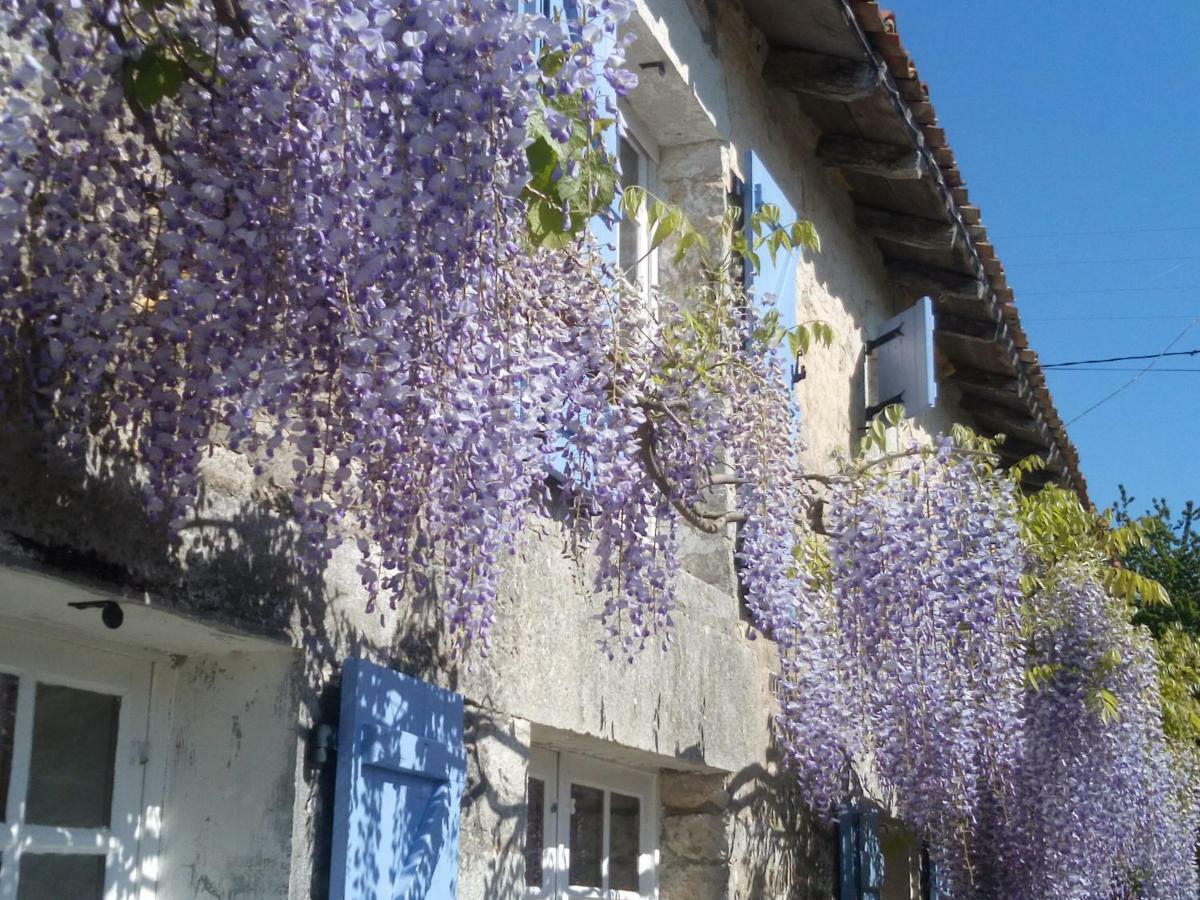 Chat Noir Gite Et Chambre D'Hotes Genouille (Vienne) Exterior foto